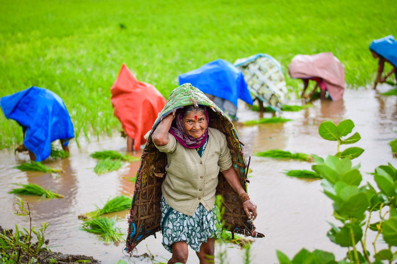 prasad-panchakshari-6SHggnPGQZ4-unsplash-2048×1365